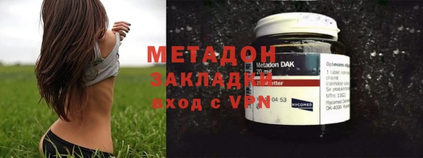 ГАЛЛЮЦИНОГЕННЫЕ ГРИБЫ Аркадак