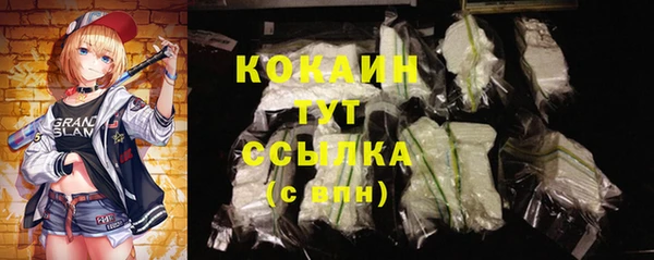 ГАЛЛЮЦИНОГЕННЫЕ ГРИБЫ Аркадак