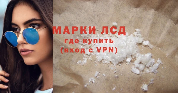 ГАЛЛЮЦИНОГЕННЫЕ ГРИБЫ Аркадак