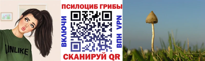где можно купить наркотик мега сайт Галлюциногенные грибы ЛСД Кемь